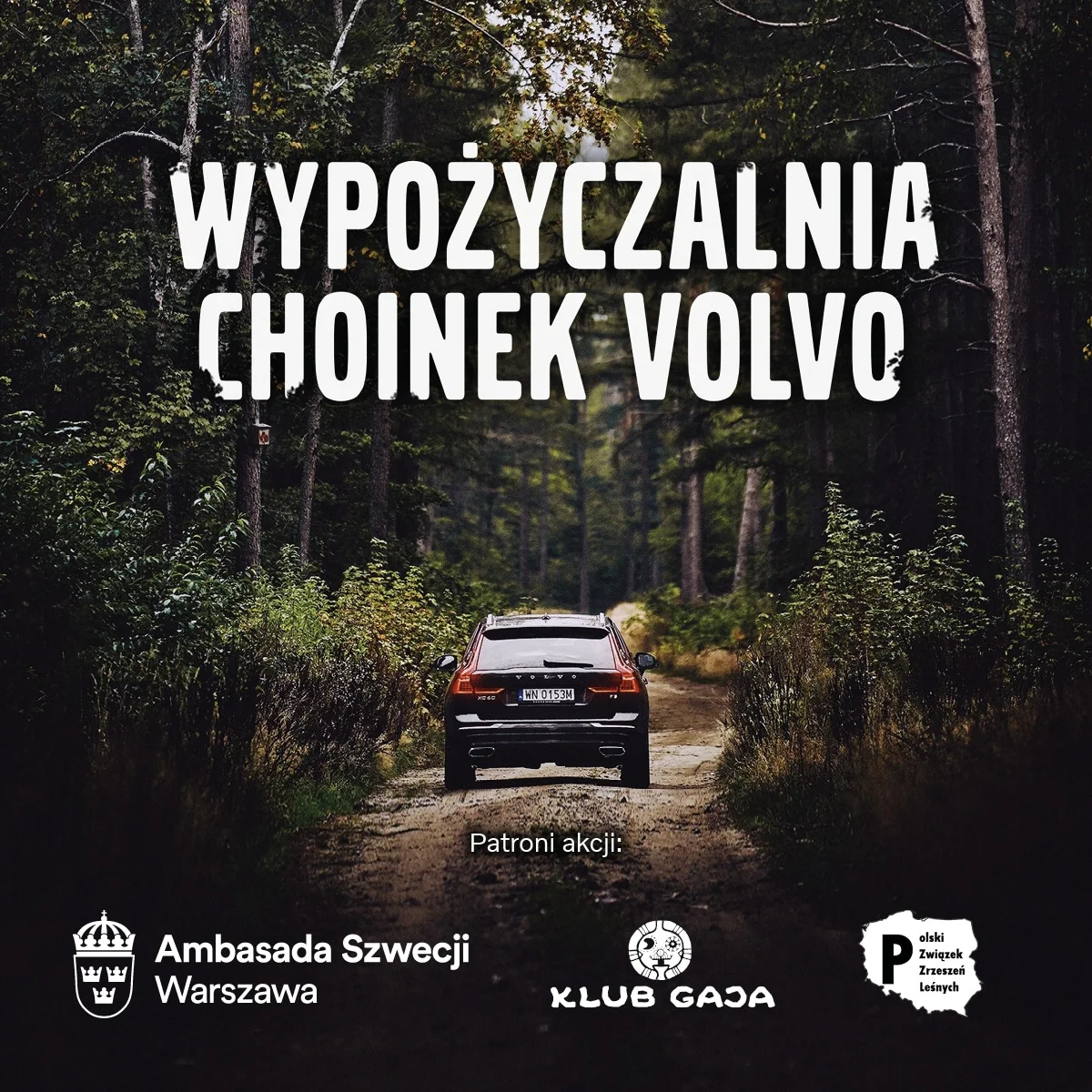 wypożycz choinkę, kampania volvo